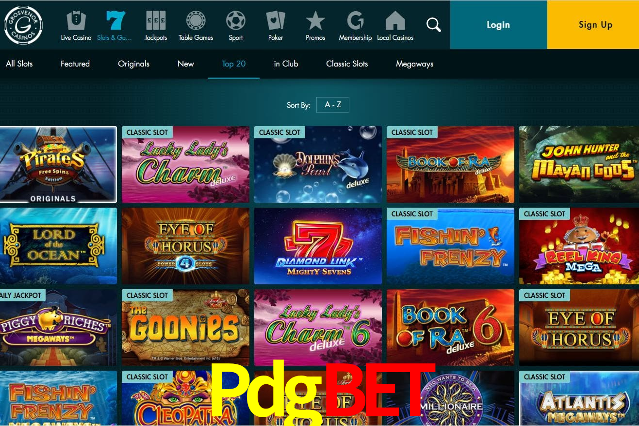 VIP Casino Pdgbet